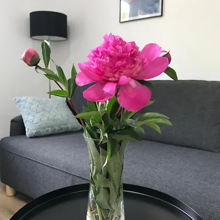 Apartment Na Kopci